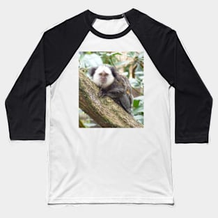 White Faced Marmoset Baseball T-Shirt